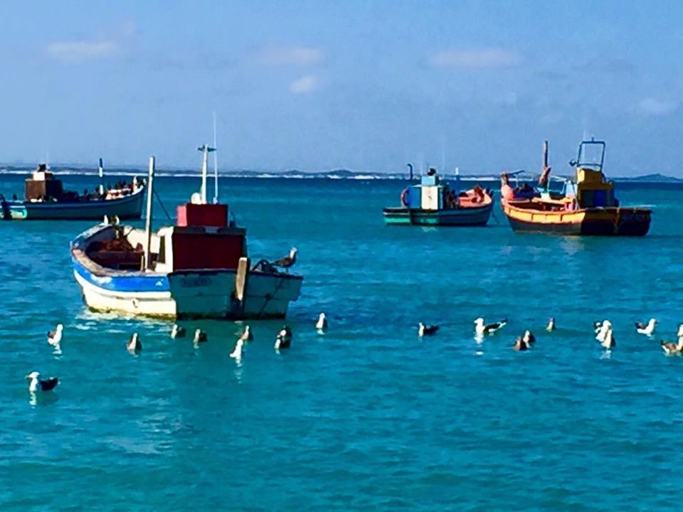Apartamento The Goose Nest Struisbaai Exterior foto